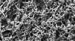 Filtro de membrana GE-Osmonics de Acetato de celulosa 0.22µm de poro, 47mm de diametro