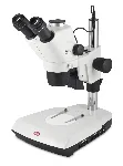 Estereomicroscopio Trinocular SMZ171. MOTIC®