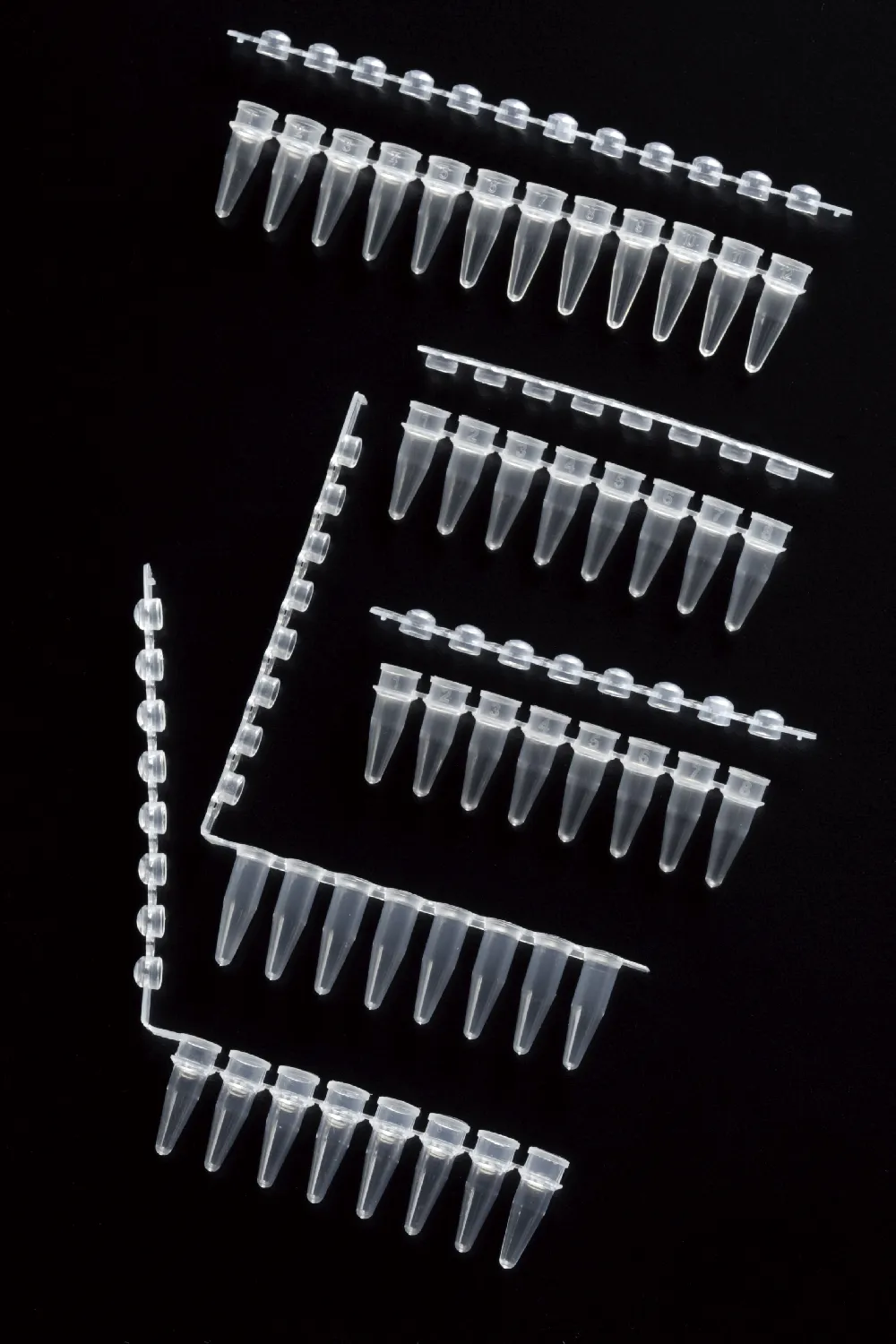 Tubo para PCR 0,2ml en tiras. DELTALAB. Tira de 8 tubos y 8 tapones redondeados unidos