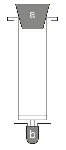 Tapón superior 12ml. ExtraBond SCHARLAU