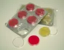 Saboraud Dextrosado Agar. Triple envase