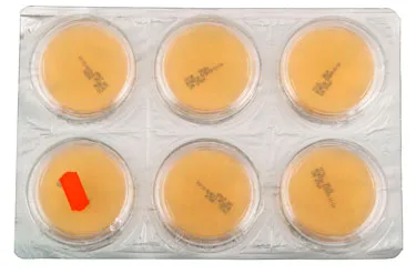 Saboraud Cloranfenicol Agar Modificado. Triple envase