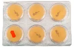 Saboraud Cloranfenicol Agar Modificado. Triple envase