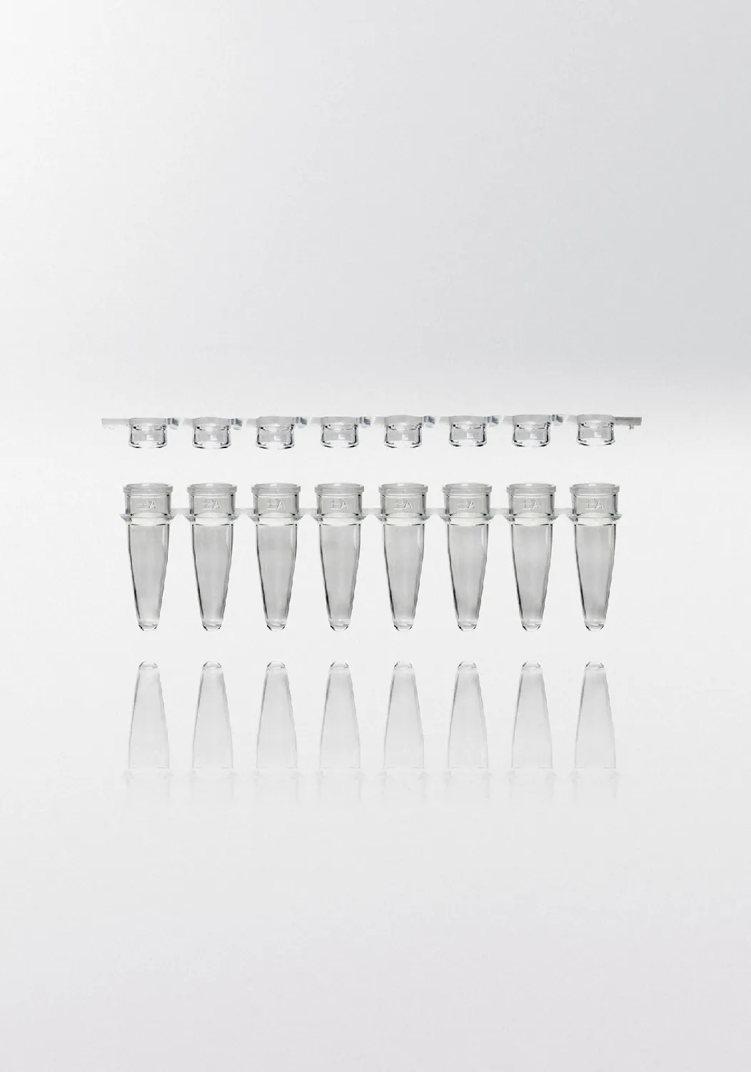 Tiras de tubos para PCR. NERBE-PLUS. Capacidad (ml): 0,2. Resist. centrif. (g): 6000. Tapón: Plano. Color tubo/tapón: Transparente/ Transparente. Esterilidad: PCR Ready. qPCR: Sí