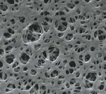 Membrana de Polietersulfona (PES) de 47 mmø, porosidad 0.45 µm. Osmonics