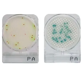 Compact Dry PA (Pseudomonas aeruginosa)