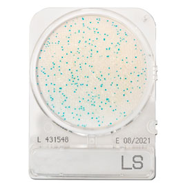 CompactDry™ LS para especies de Listeria