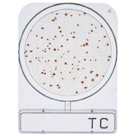 CompactDry™ TC (recuento total)