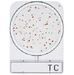 CompactDry™ TC (recuento total)