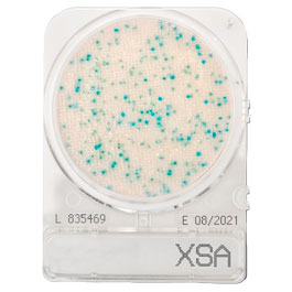 CompactDry™ X-SA para Staphylococcus aureus