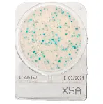 CompactDry™ X-SA para Staphylococcus aureus