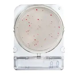 CHROMOGENIC MEDIA COMPACT DRY®